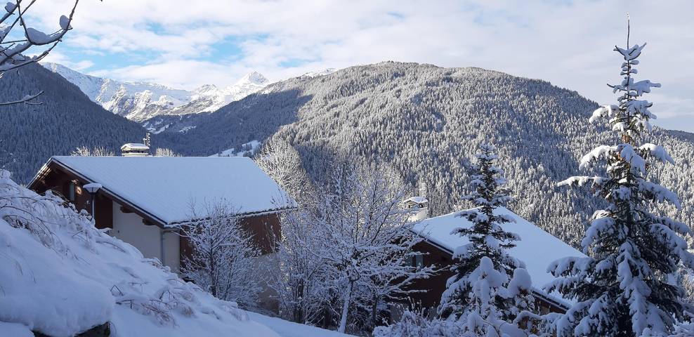Chalet pour 15 personnes, avec terrasse et sauna à Peisey-Nancroix