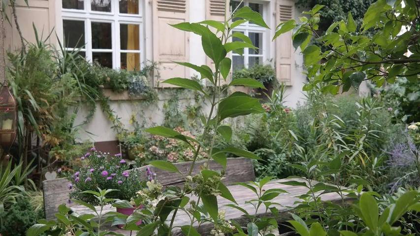 Ferienwohnung für 2 Personen, mit Terrasse und Garten in Bad Sobernheim - 3