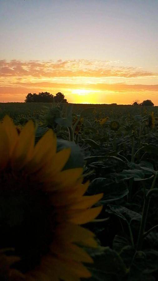 Location de vacances pour 6 personnes, avec jardin et vue à Mouilleron-en-Pareds