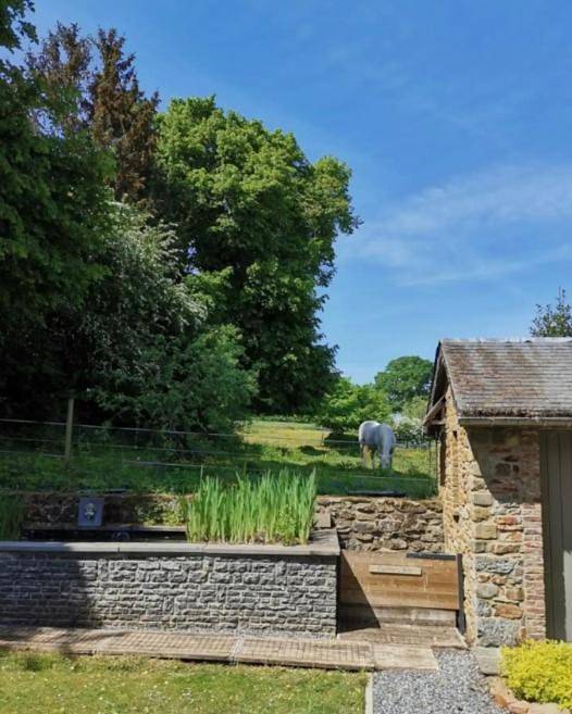 Location de vacances pour 14 personnes, avec sauna ainsi que jardin et vue à Wellin - 4