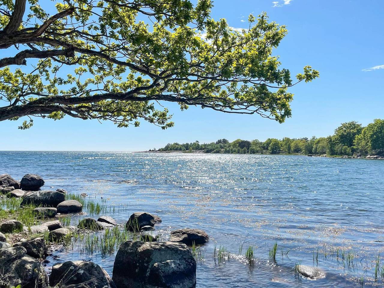 4 stjarniga stuga i Torhamn in Svenska Östersjön