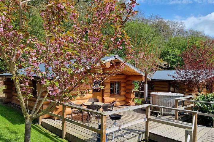 Blockhütte für 4 Personen, mit Terrasse und Whirlpool - 1