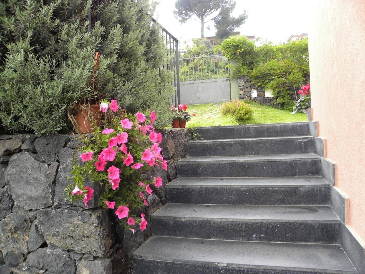 Poggio Sambuco in Viagrande, Etna