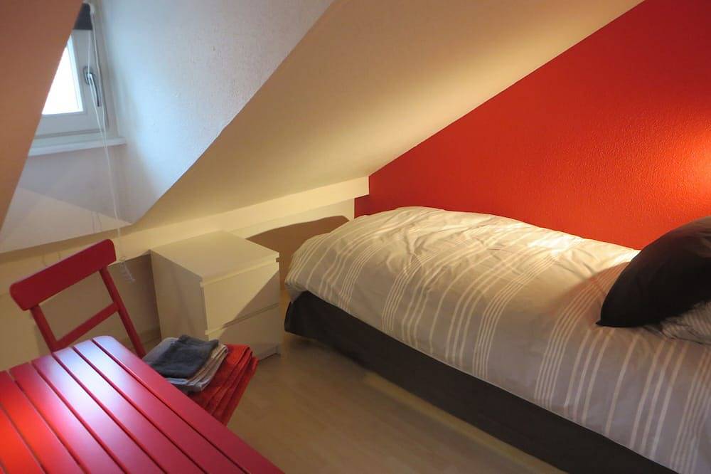 Ganze Wohnung, Parkplatz, am Wasser, gegenüber der Altstadt, hell und ruhig 74 m² in Straßburg, Region Straßburg