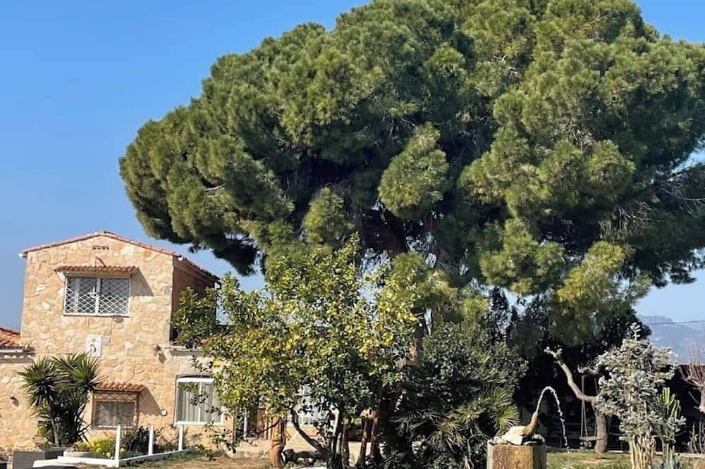 El Pi de La Selva in La Selva del Campo, Baix Camp