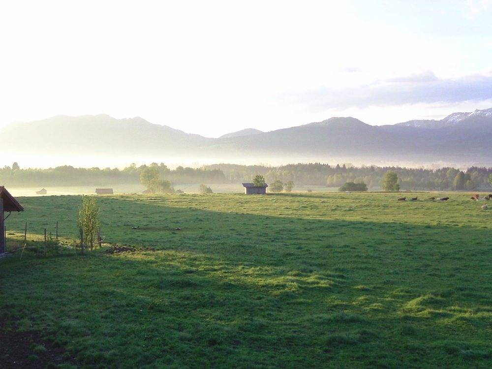 Seeleitenhof - Moorblick in Sindelsdorf, Pfaffenwinkel