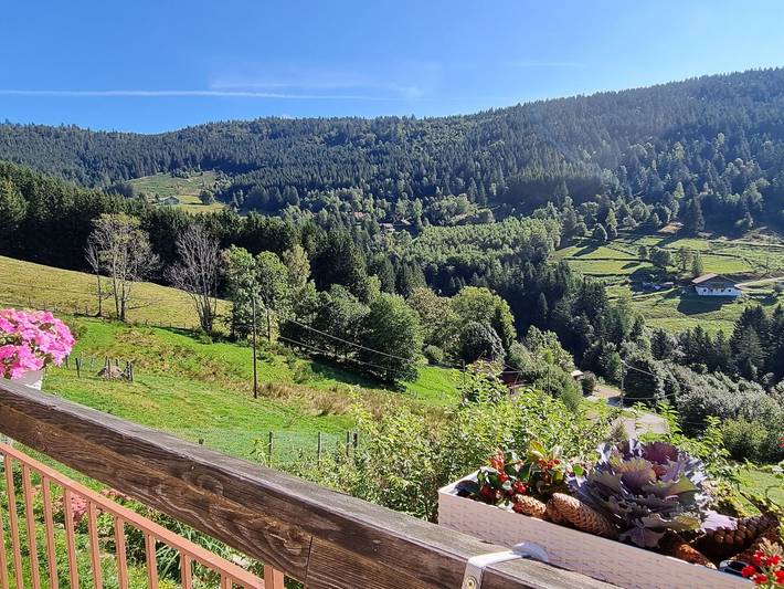Habitaciones en la montaña, se admiten mascotas in Ventron, Parque natural regional de los Ballons des Vosges