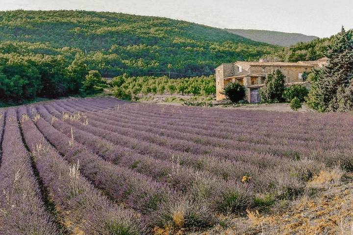 Location de vacances pour 19 personnes, avec vue ainsi que piscine et jardin, animaux acceptés à Simiane-la-Rotonde - 2
