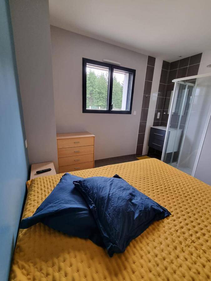 Location de vacances pour 4 personnes dans Pruillé-le-Chétif - 4
