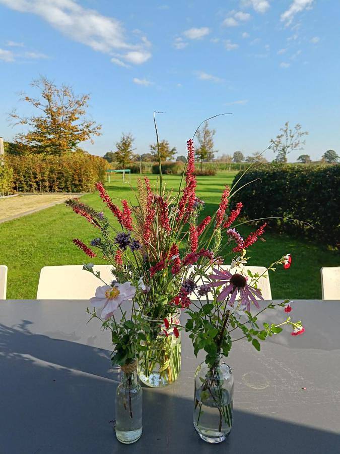 Ferienhaus für 10 Personen, mit Sauna und Ausblick sowie Pool und Garten, mit Haustier