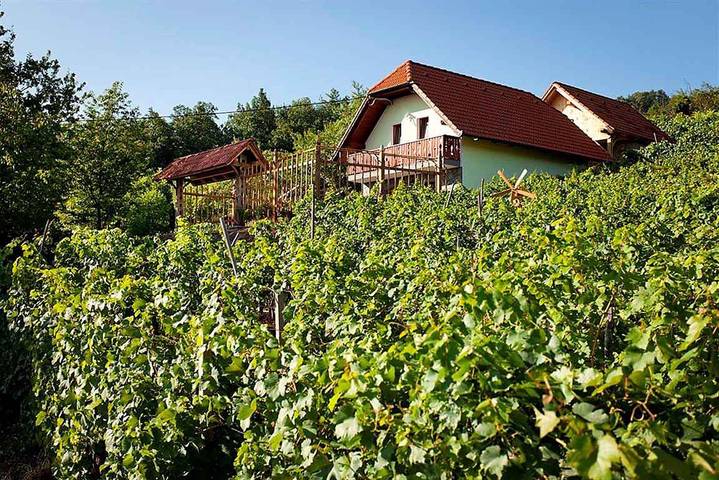 Ferienhaus für 5 Personen, mit Balkon und Garten in Slowenien