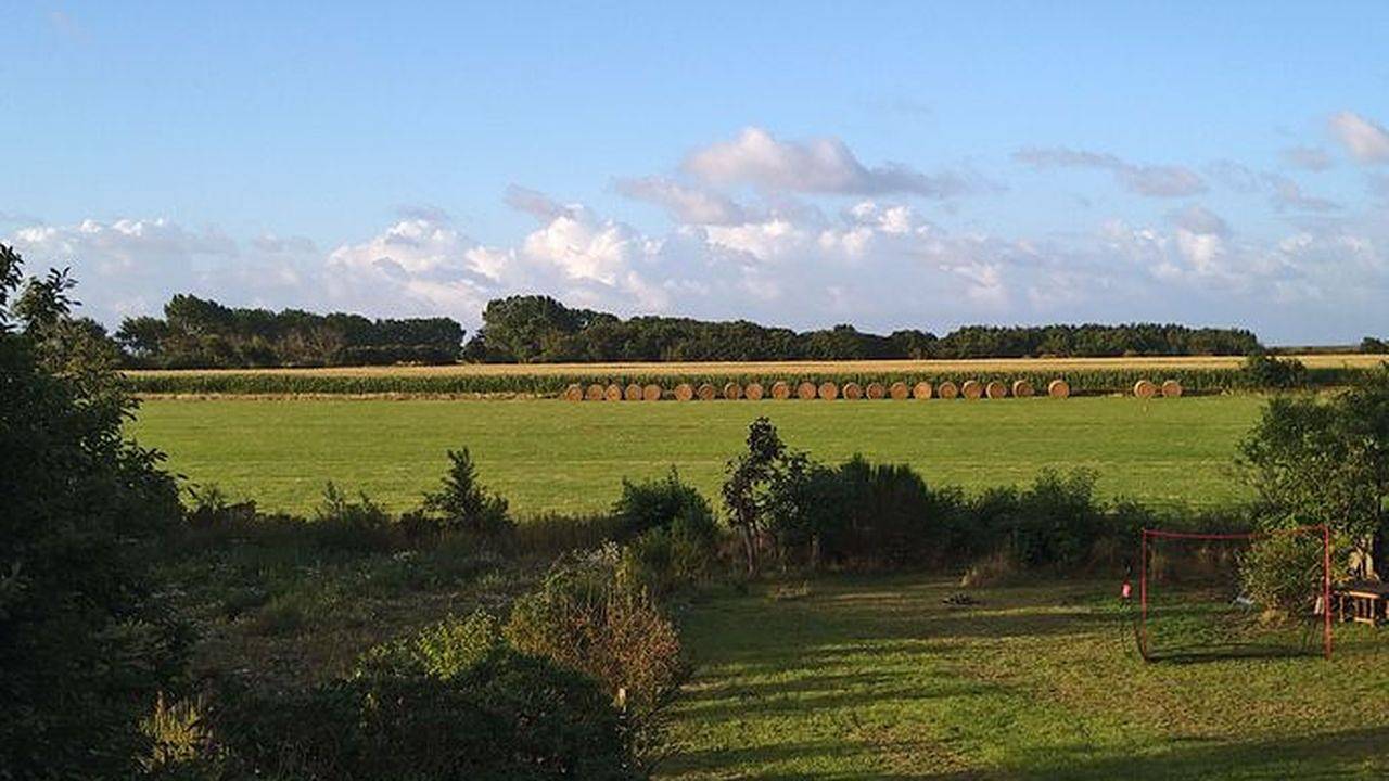 Ferienhaus für 3 Personen (105 m²) in Nieblum in Nieblum, Föhr