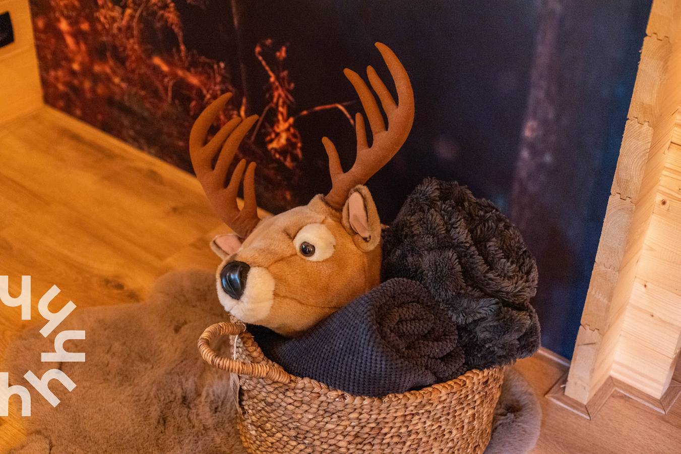 Sfeervolle natuurlodge voor 2-5 personen met haard en ruim bosperceel in Emst op de Veluwe in Epe, Veluwe