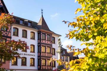 Hôtel pour 2 personnes, avec terrasse, animaux acceptés dans Office de Tourisme d'Obernai