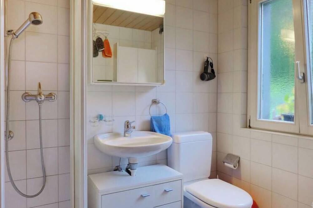 Ganze Wohnung, Ferienwohnung Erika by Interhome in Meiringen, Berner Oberland