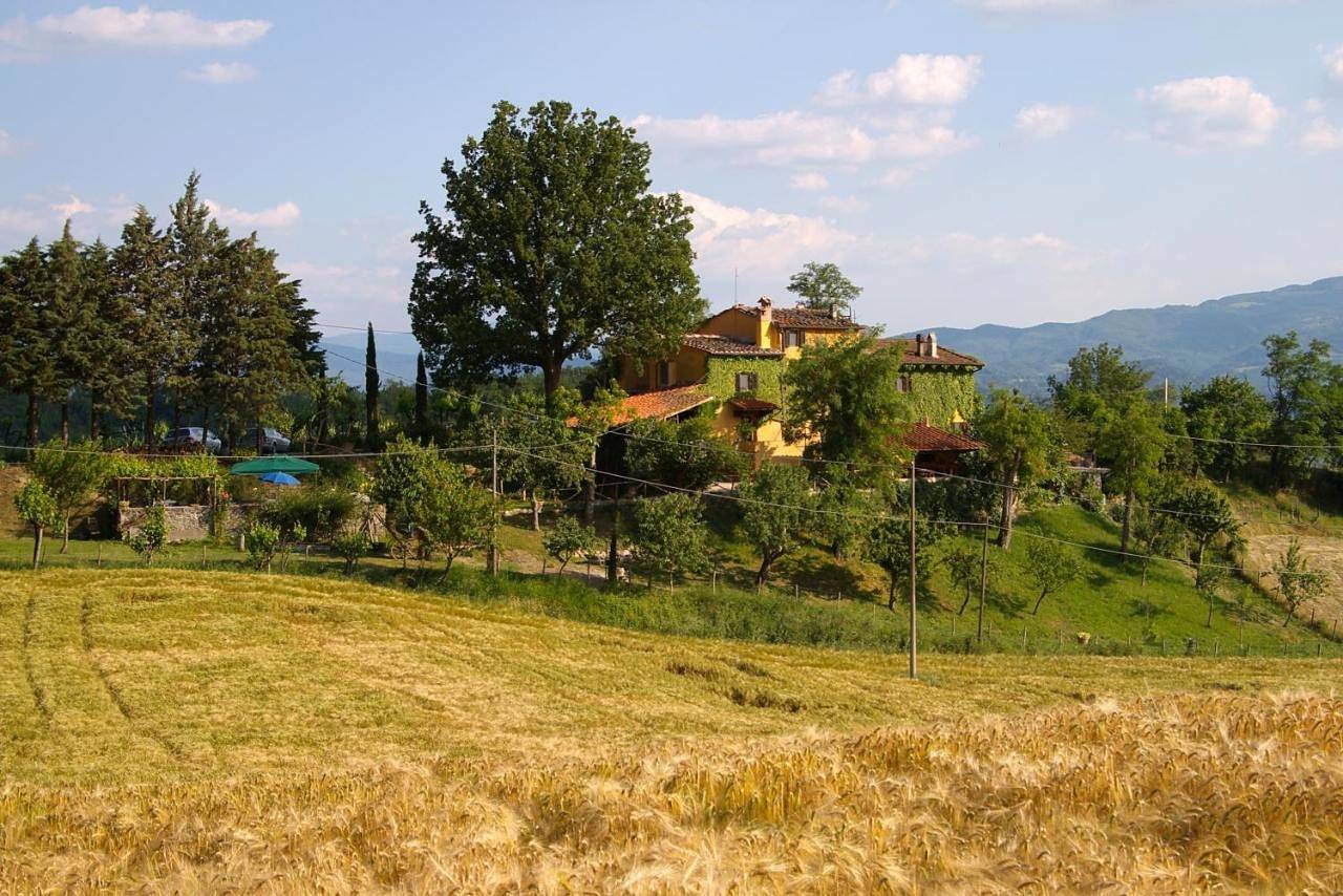 B&B Le Due Volpi in Vicchio, Firenze province