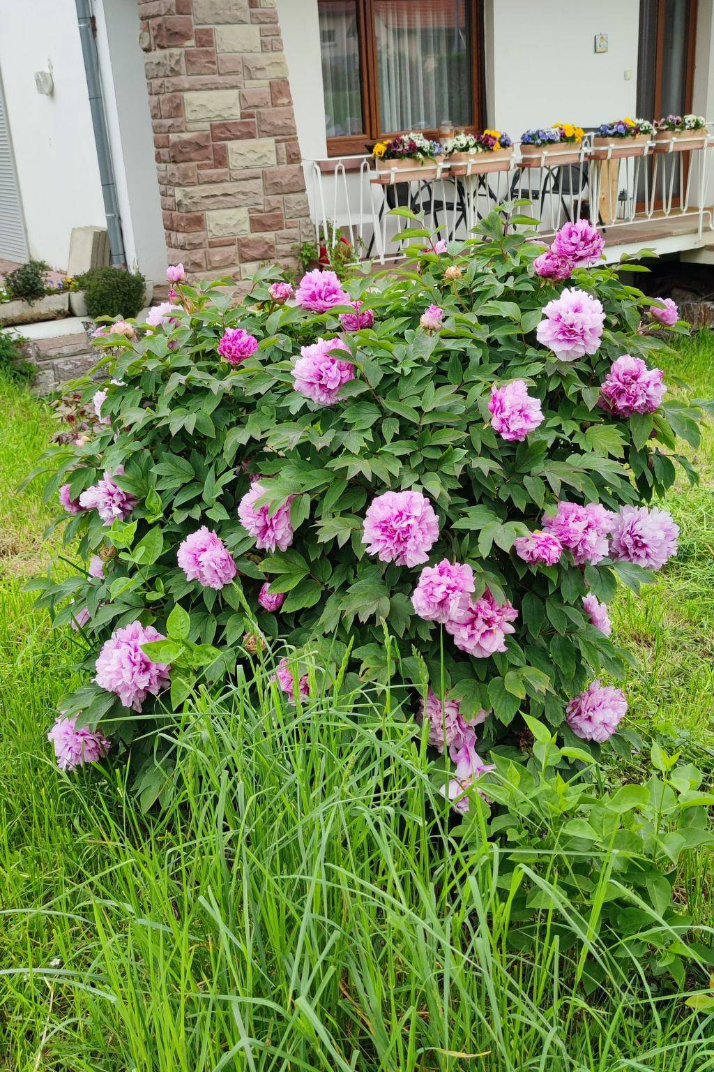 Le Château d'Eau in Weißenburg, Region Weißenburg