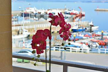 view of accommodation