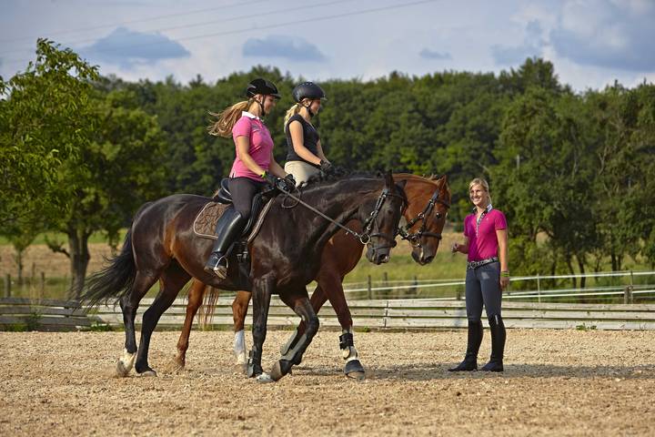 Bauernhof für 4 Personen, mit Pool und Garten, mit Haustier in Baden-Württemberg - 2