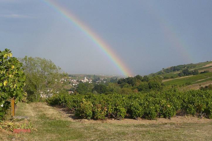 Chambre d’hôte pour 4 personnes, avec jardin dans Beaujolais - 3