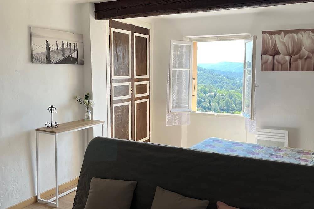 Jolie maison de village avec du caractère en Provence in Callas, Région de Draguignan