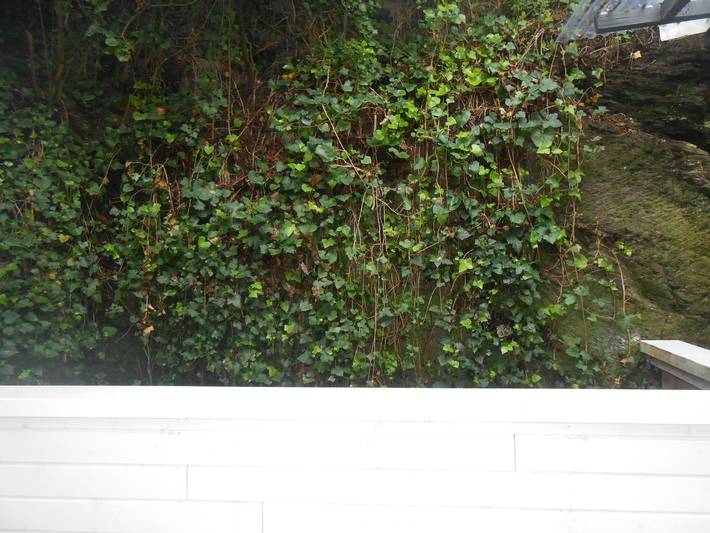 Ferienhaus für 3 Personen, mit Terrasse in Bernkastel-Kues & Umgebung - 3