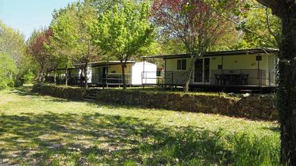 Camping per 5 Persone in Bucine (Gemeinde), Chianti, Foto 4