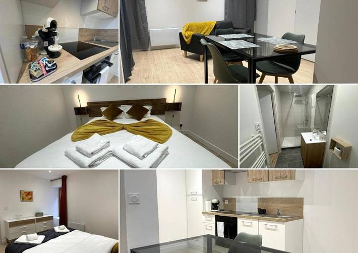 Gîte pour 4 personnes, animaux acceptés à Sennecey-le-Grand - 4