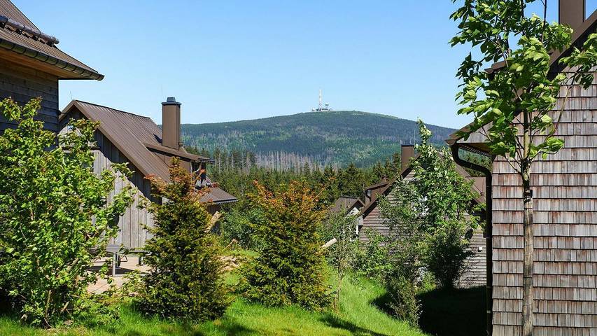 Ferienhaus für 8 Personen, mit Pool und Sauna sowie Garten im Harz - 3