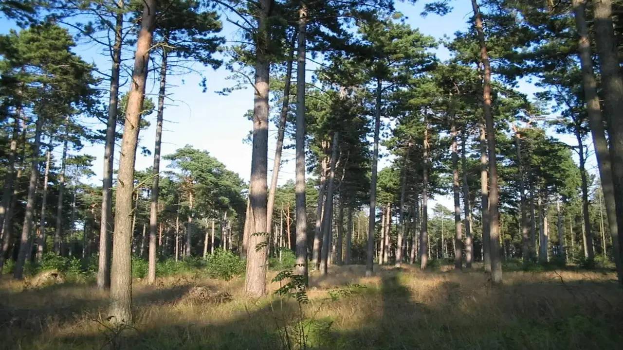 Ferienhaus für 11 Personen (132 m²) in Væggerløse in Væggerløse, Schwedische Ostsee