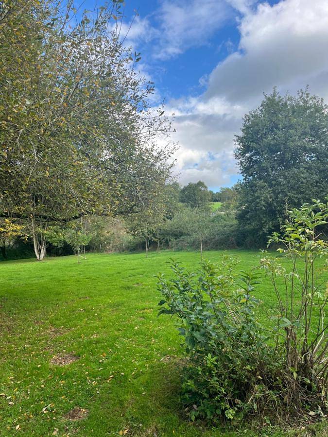 Location de vacances pour 3 personnes, avec vue ainsi que terrasse et jardin, animaux acceptés à Isle (Limoges) - 3