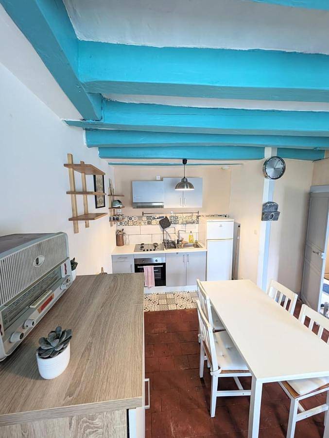 Location de vacances pour 5 personnes, avec terrasse et jardin à Chédigny - 3