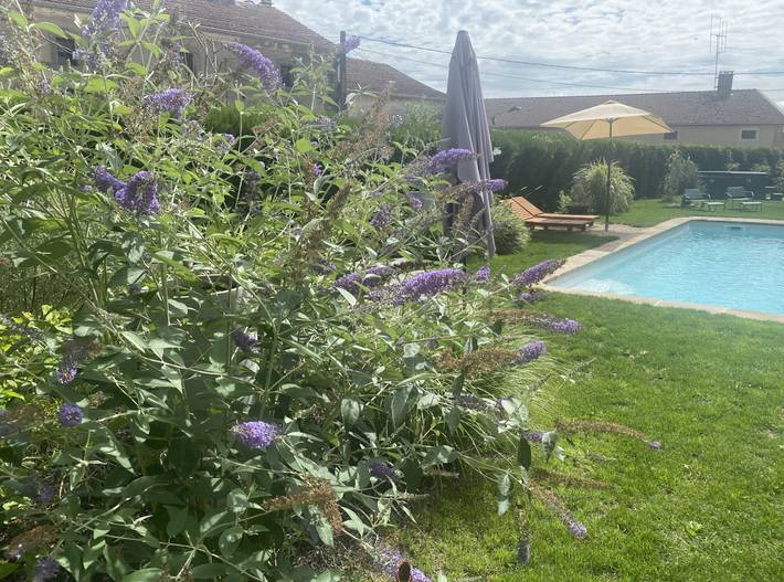 Location de vacances pour 2 personnes, avec jardin et piscine dans Neufchâteau - 2