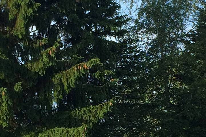 Camping für 4 Personen in Rheinland-Pfalz - 4