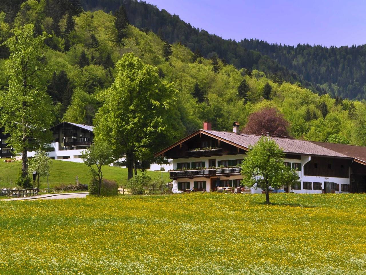 Haus Pletscherer, Kreuth-Brunnbichl - Ferienwohnung Haus Pletscherer in Kreuth, Spitzingsee