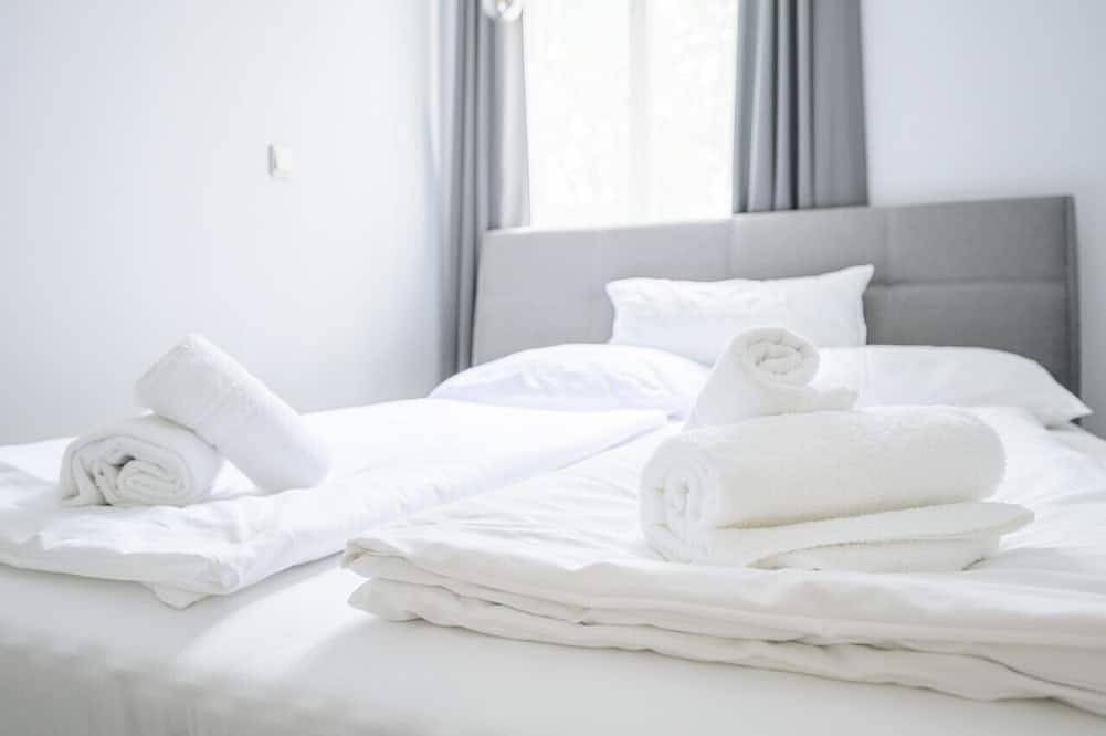 Ganze Wohnung, Palais Pálffy Apartment for 4 in Vienna in Wien Innenstadt, Wien