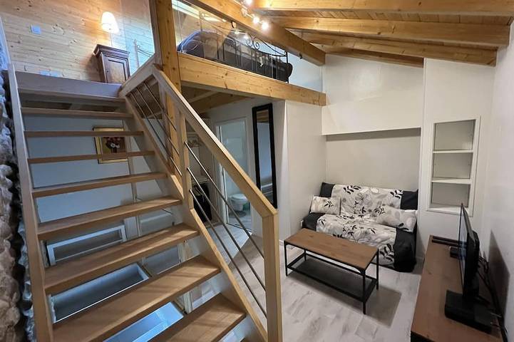 Location de vacances pour 4 personnes, animaux acceptés à Neydens - 4