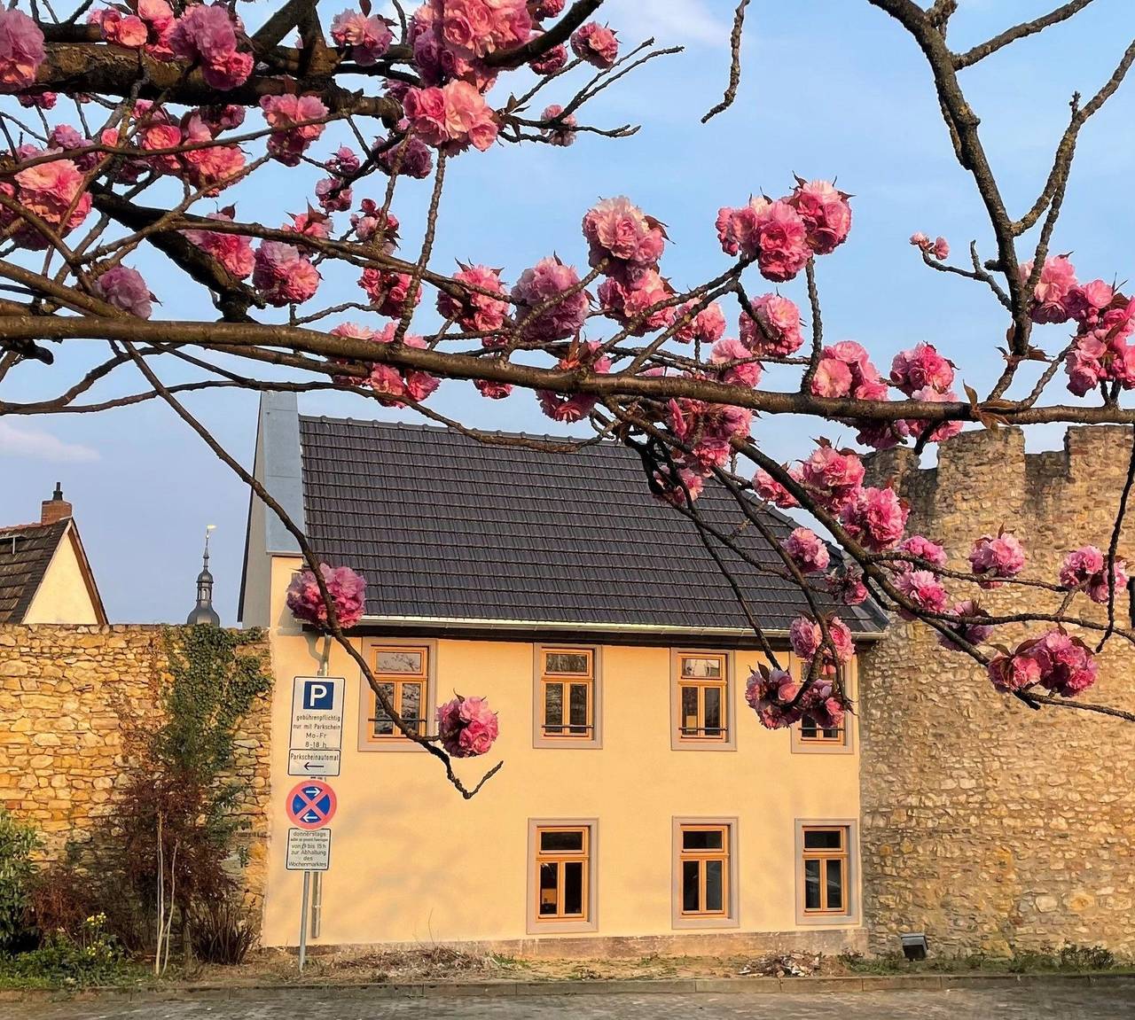 Appartamento vacanze a Rheingau a partire da 193€ a notte