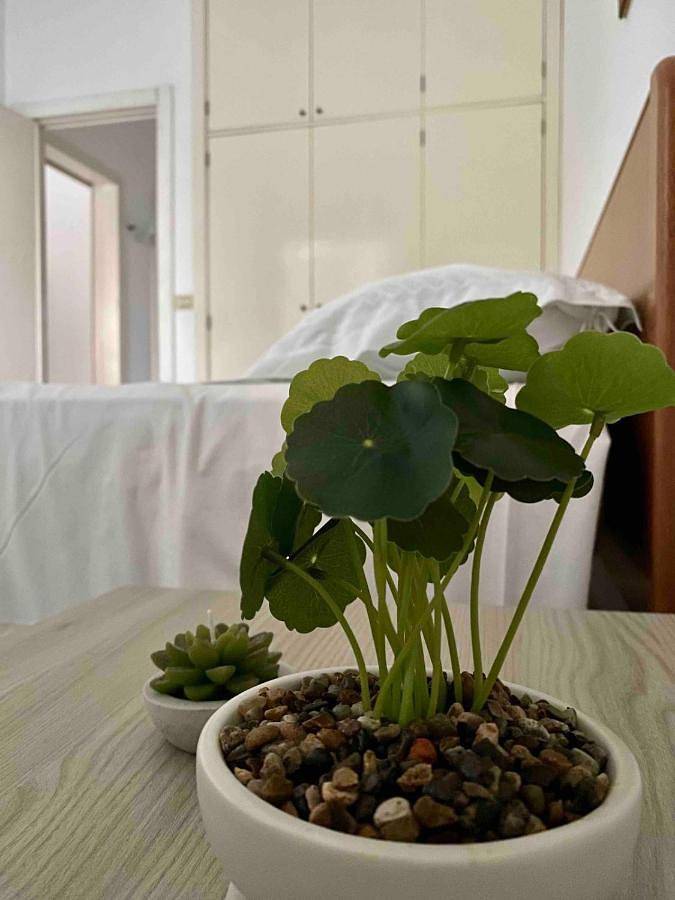 Two-Bedroom House in Torre Saracena, Melendugno