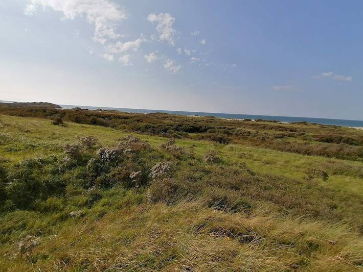 Ferienhaus für 10 Personen, mit Whirlpool und Sauna sowie Terrasse, kinderfreundlich in Lodskovvad - 3