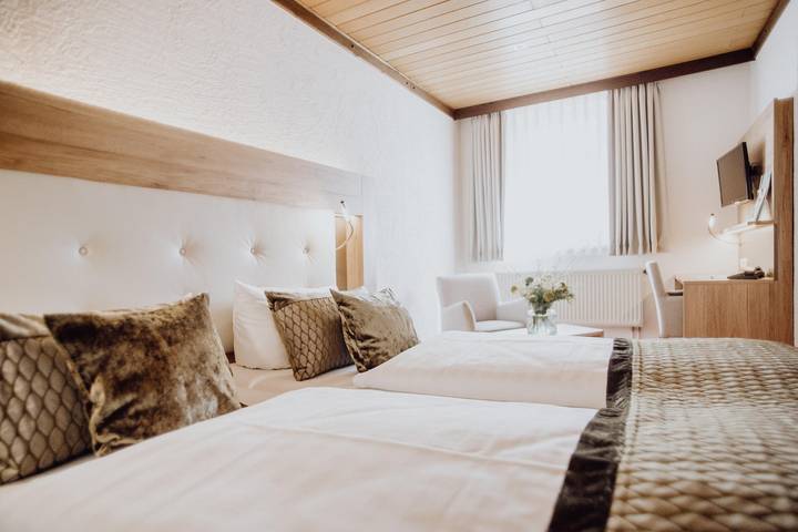 Hotel für 2 Personen, mit Terrasse in Frauenstein - 4