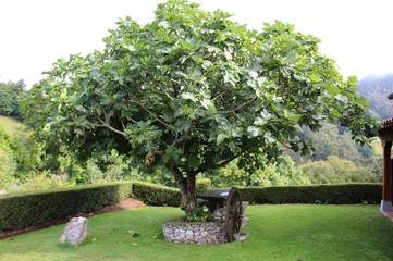 Casa rural para 8 personas, con vistas y jardín en Sierra del Sueve