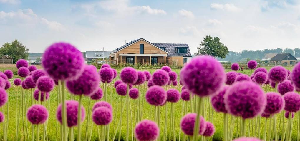 B&B für 2 Personen, mit Terrasse und Garten sowie Ausblick in Noordwijk