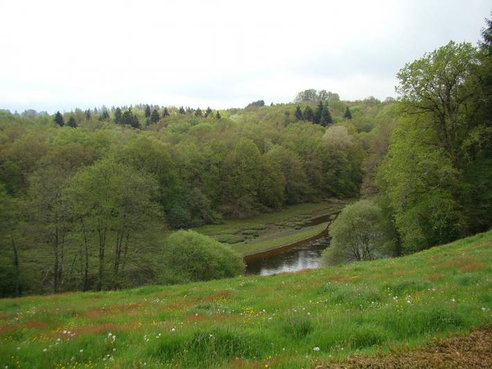 Gîte pour 3 personnes, avec piscine et jardin dans Haute-Vienne - 3