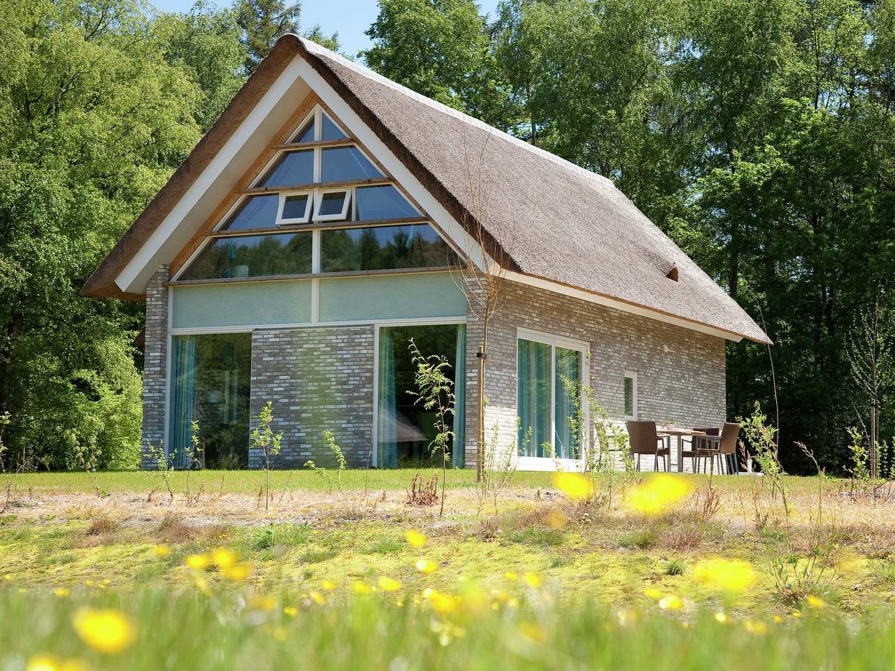 Geräumige und stilvolle Villa in Ruinen, Nationalpark Dwingelderveld