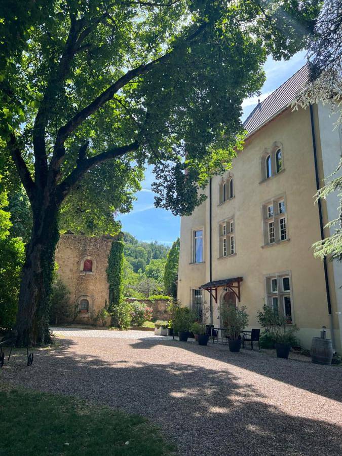 Chambre d’hôte pour 2 personnes, avec jacuzzi et piscine ainsi que jardin et sauna dans Meurthe-et-Moselle - 3