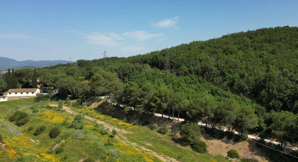 Apartment in Suvereto, Costa degli Etruschi