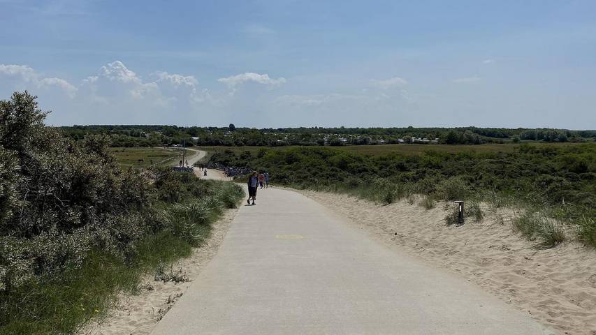 Chalet für 4 Personen, mit Terrasse und Balkon/Terrasse sowie Sauna in Renesse - 4