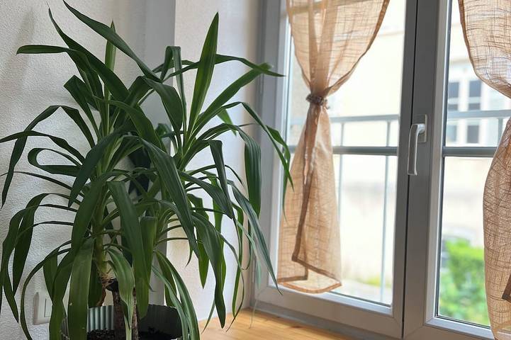 Maison de vacances pour 2 personnes, avec terrasse - 1