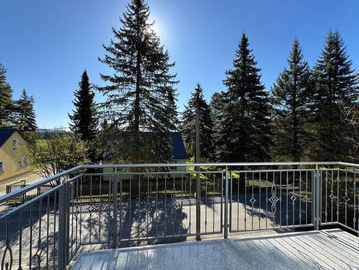 Ferienwohnung für 7 Personen, mit Terrasse in Reinhardtsdorf-Schöna - 4
